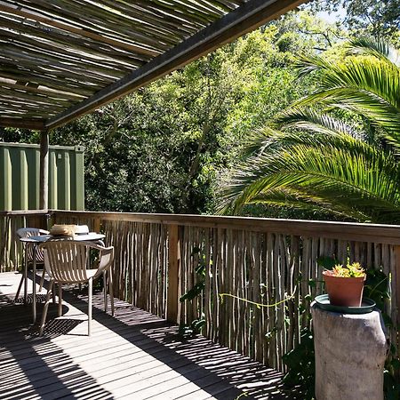 Camps Bay Forest Pods Cape Town Exterior photo